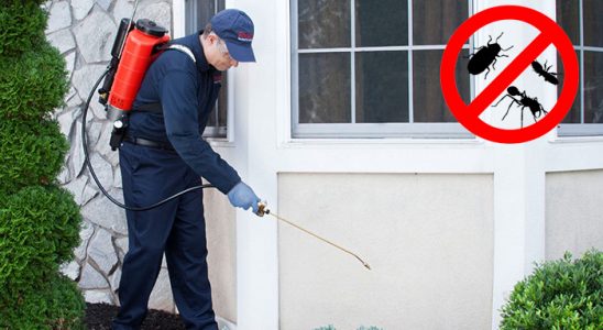 Çorum Dezenfeksiyon böcek ilaçlama ve haşere kontrolü — ilaclama-tr.com